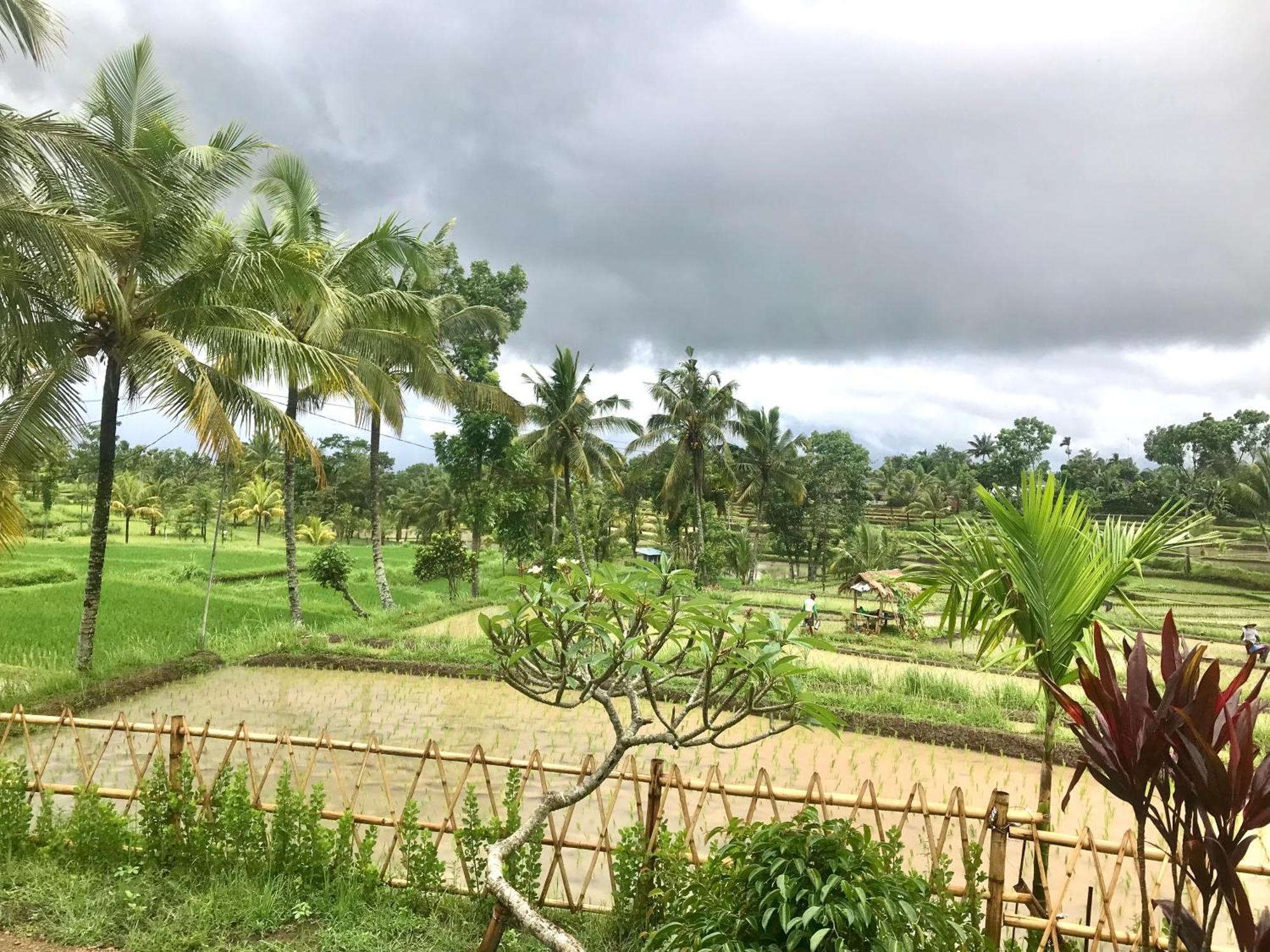 Bello Bungalow Batukliang المظهر الخارجي الصورة