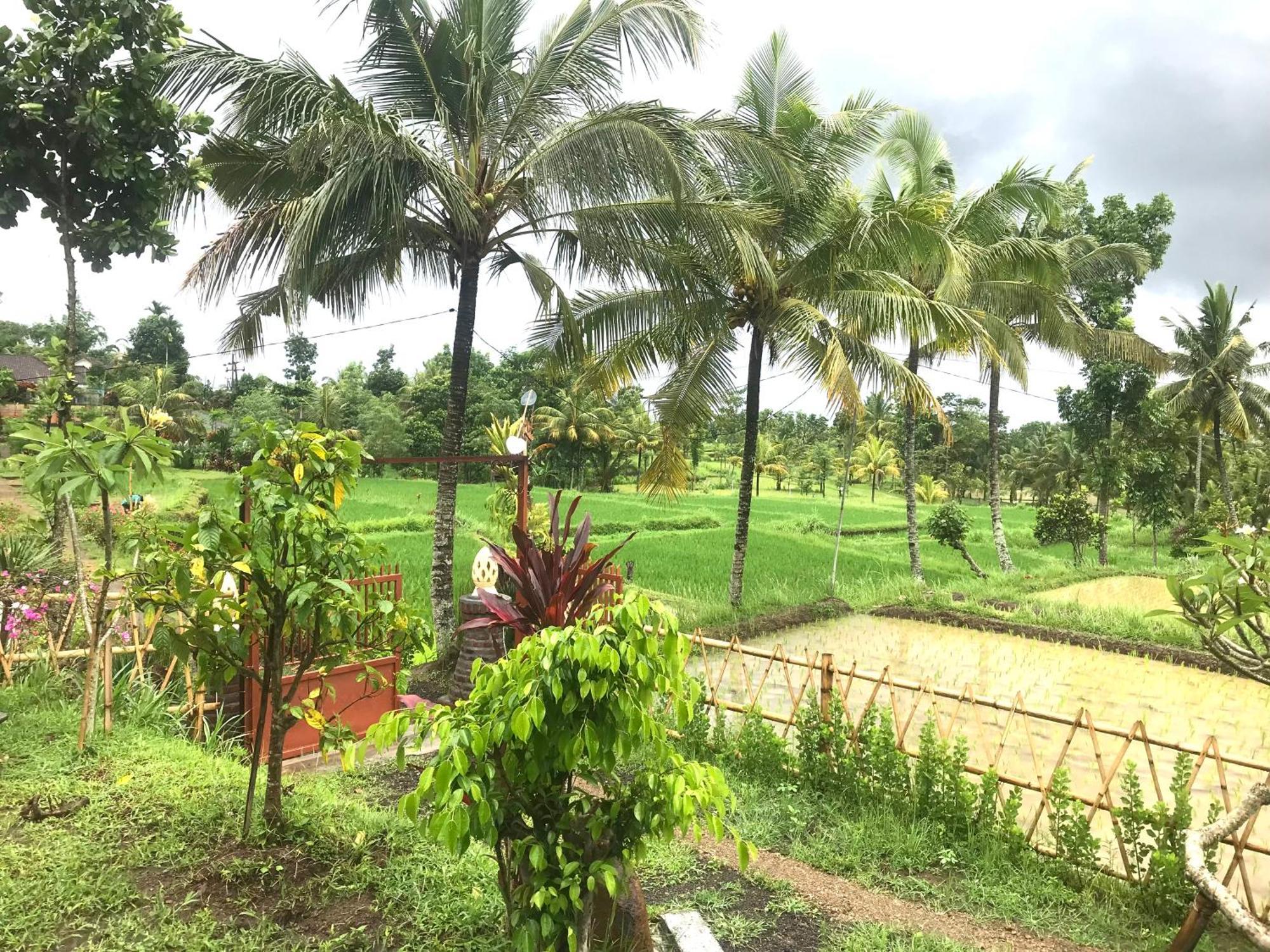 Bello Bungalow Batukliang المظهر الخارجي الصورة