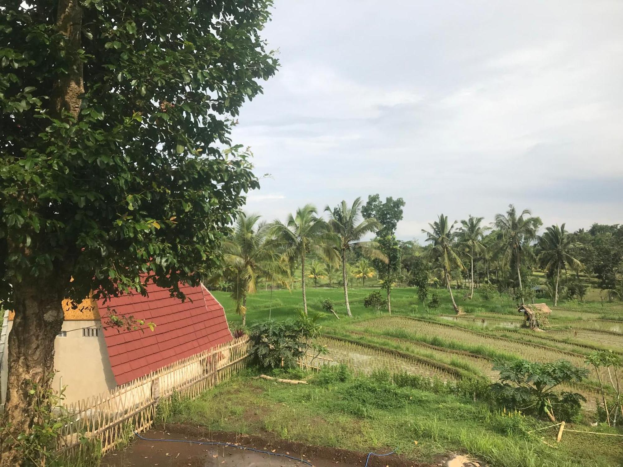 Bello Bungalow Batukliang المظهر الخارجي الصورة