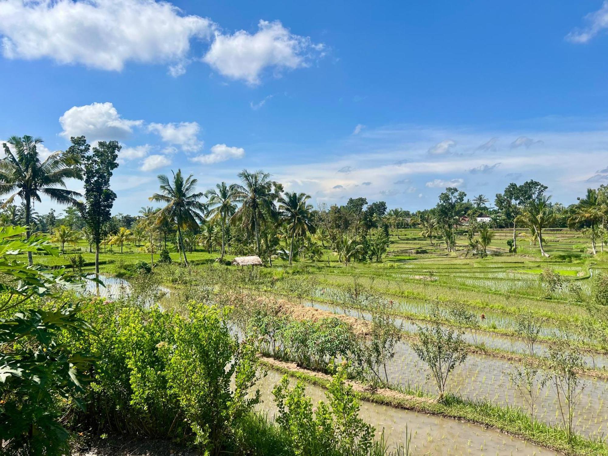 Bello Bungalow Batukliang المظهر الخارجي الصورة