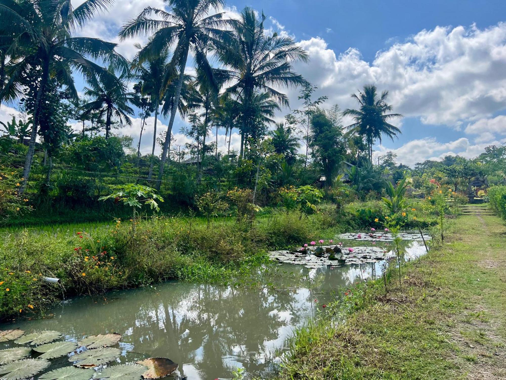 Bello Bungalow Batukliang المظهر الخارجي الصورة